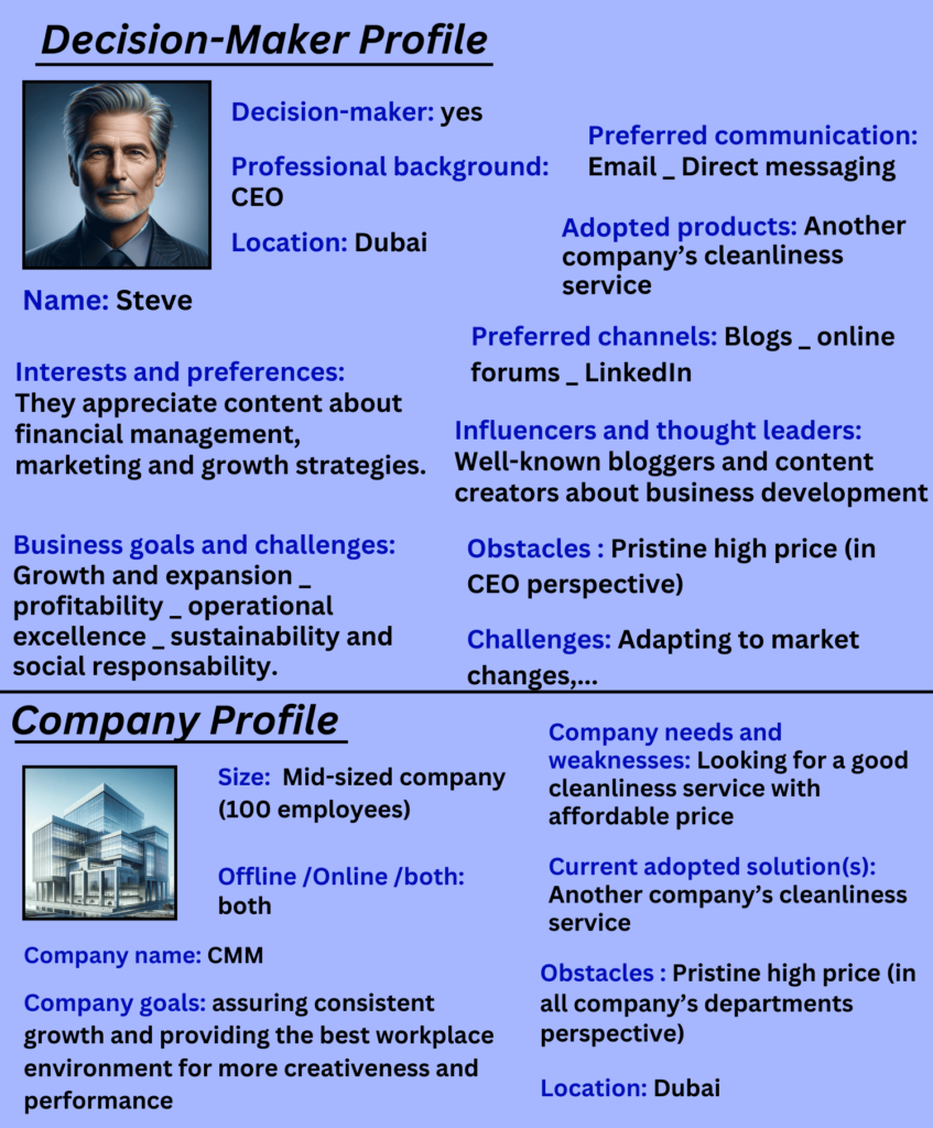 B2B buyer persona example : (CEO)